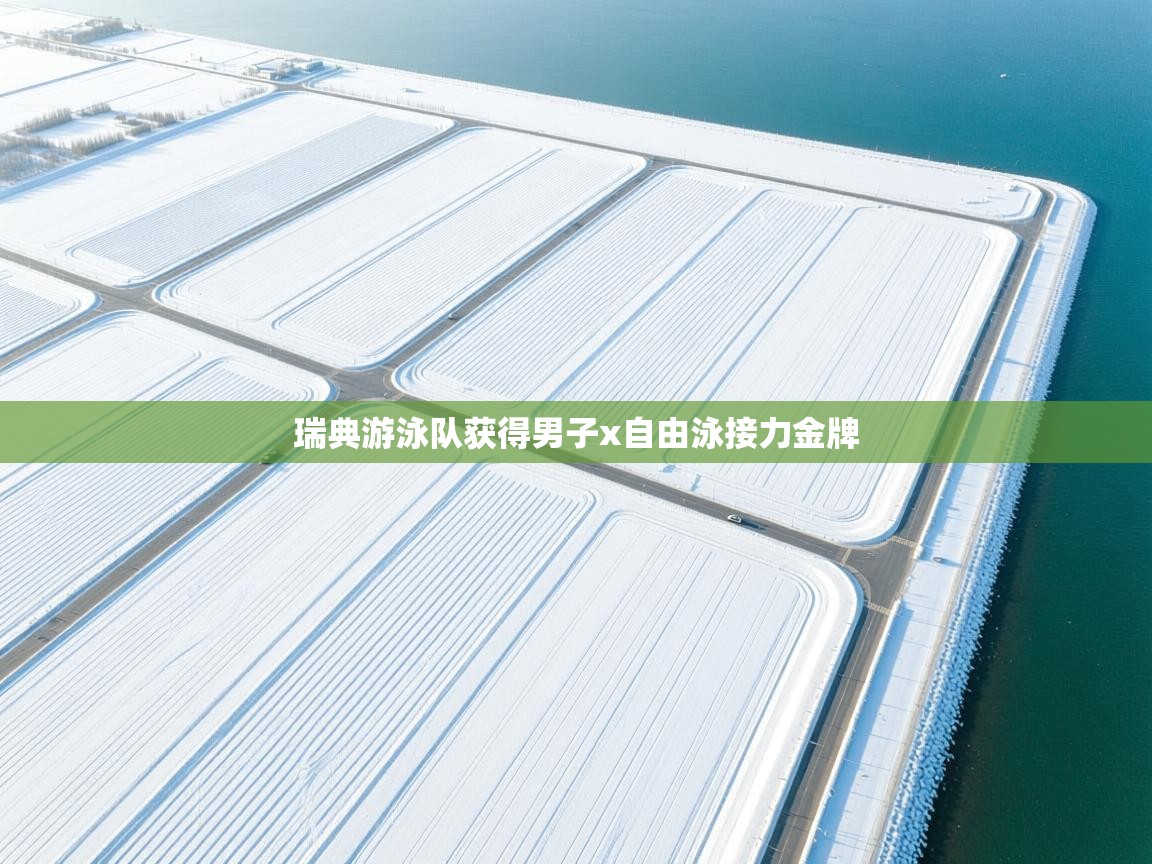 瑞典游泳队获得男子x自由泳接力金牌  第1张