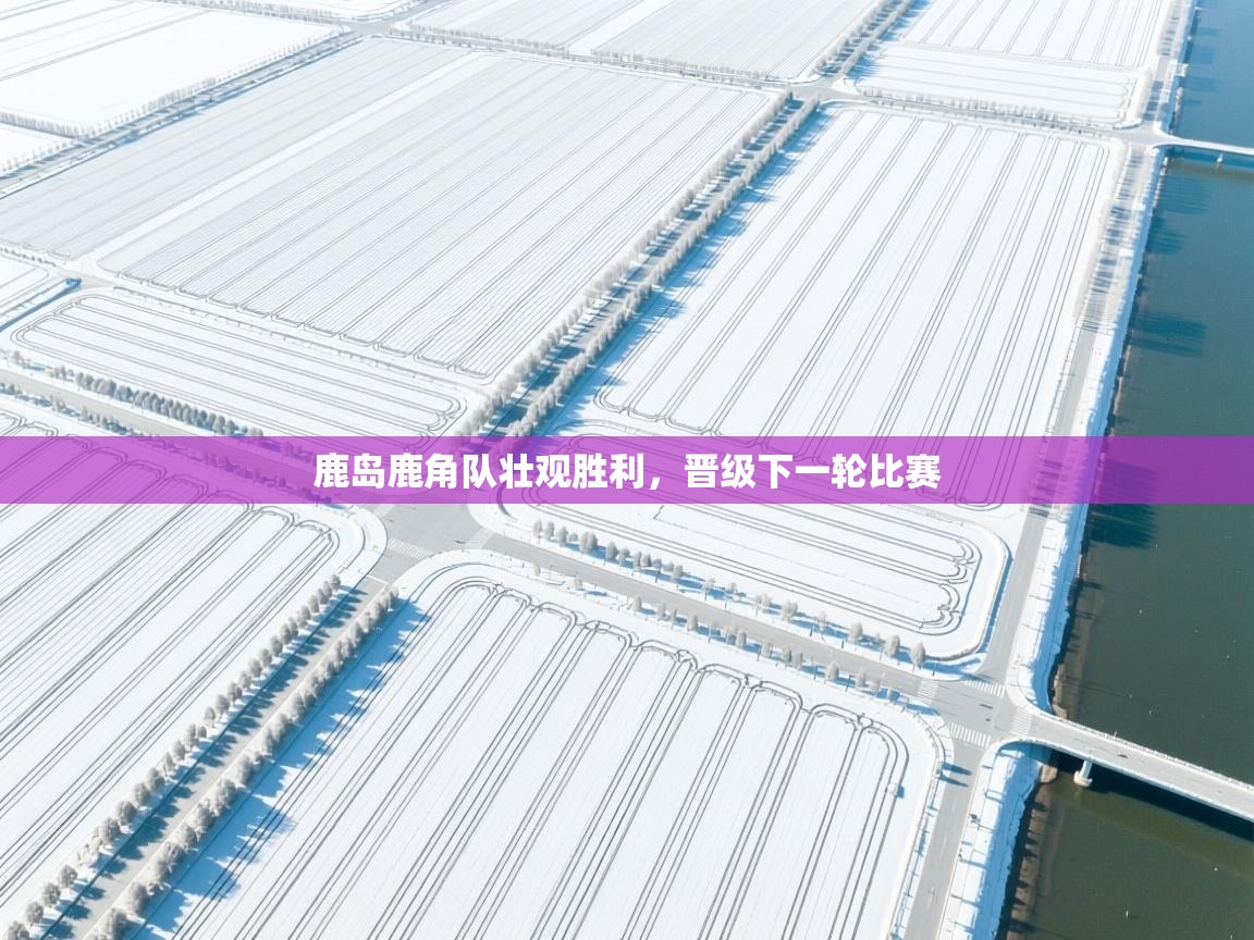 鹿岛鹿角队壮观胜利,晋级下一轮比赛 第1张