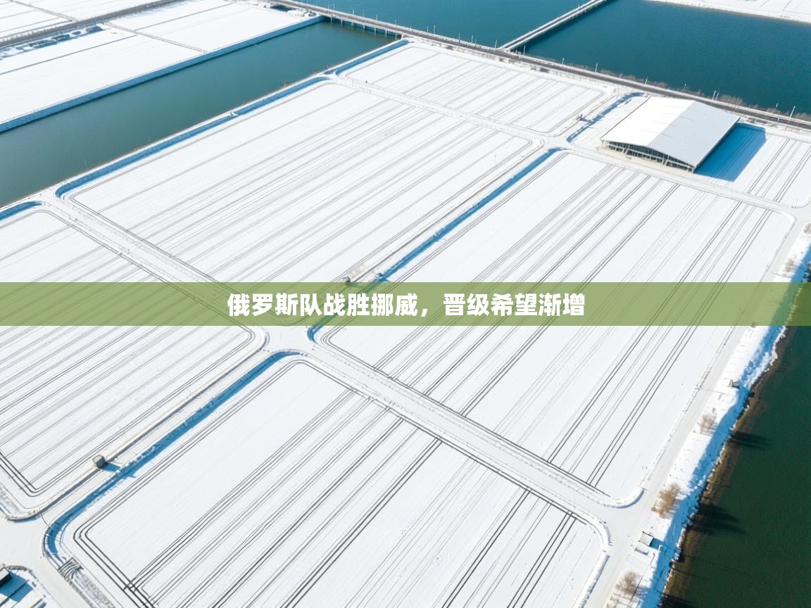 俄罗斯队战胜挪威，晋级希望渐增  第1张